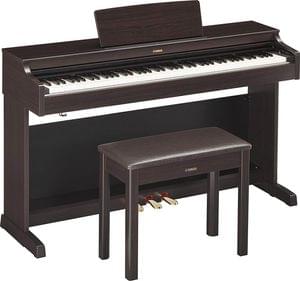 1558775179915-YDP163R Y WITH BENCH.jpg